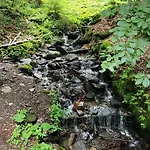 Stubai 3 Czarna Gora Sienna (Klodzko)