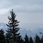 Stubai 3 Czarna Gora *