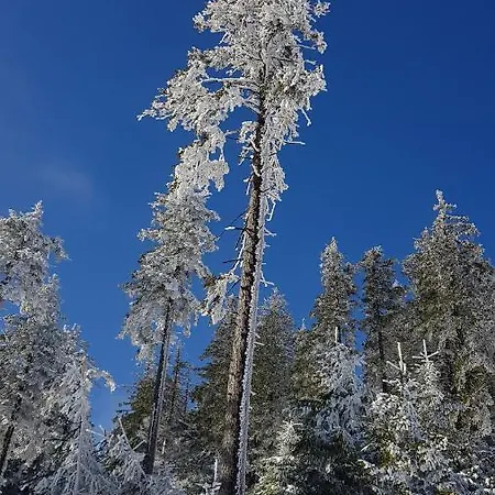 Stubai 3 Czarna Gora *