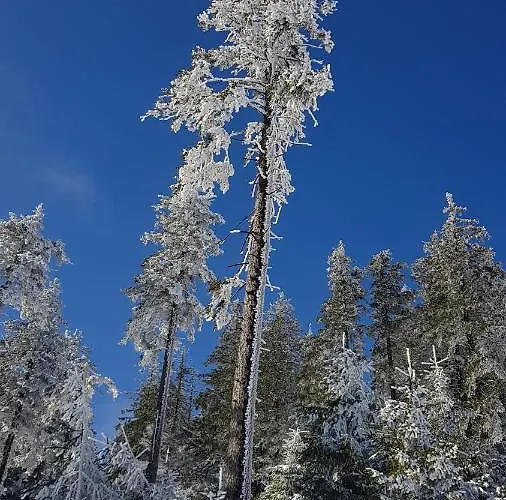 Stubai 3 Czarna Gora *